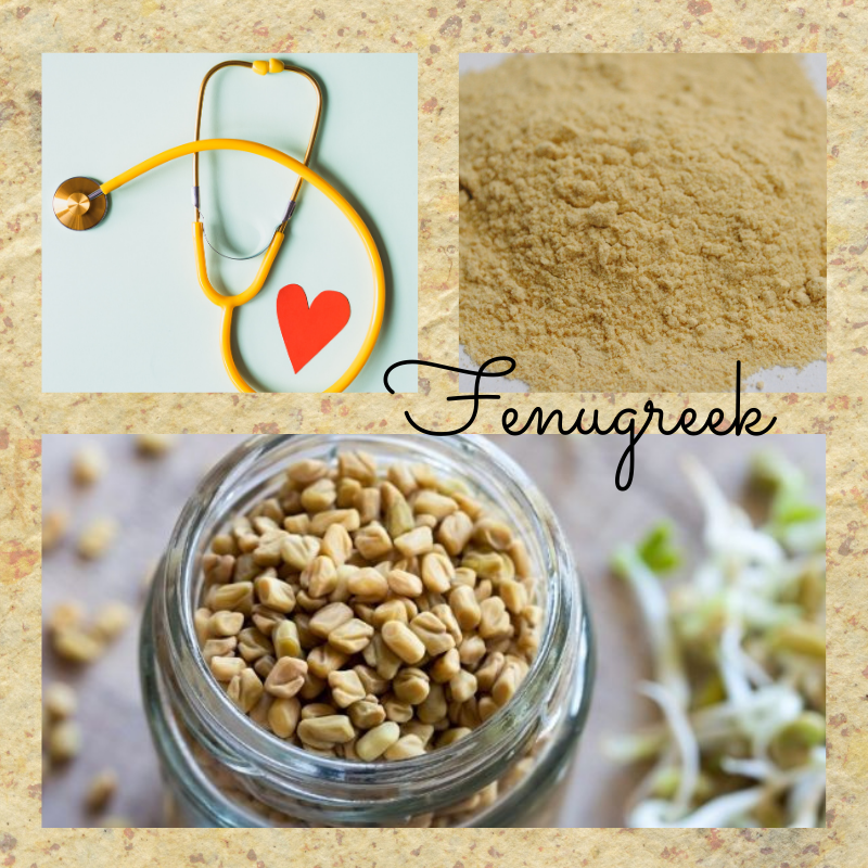 fenugreek-uses-and-benefits