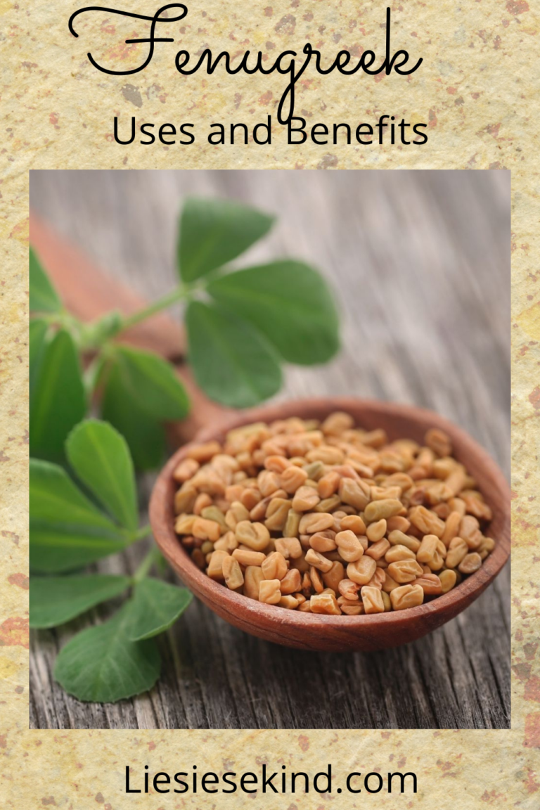 6 Eye Opening Fenugreek Uses And Benefits