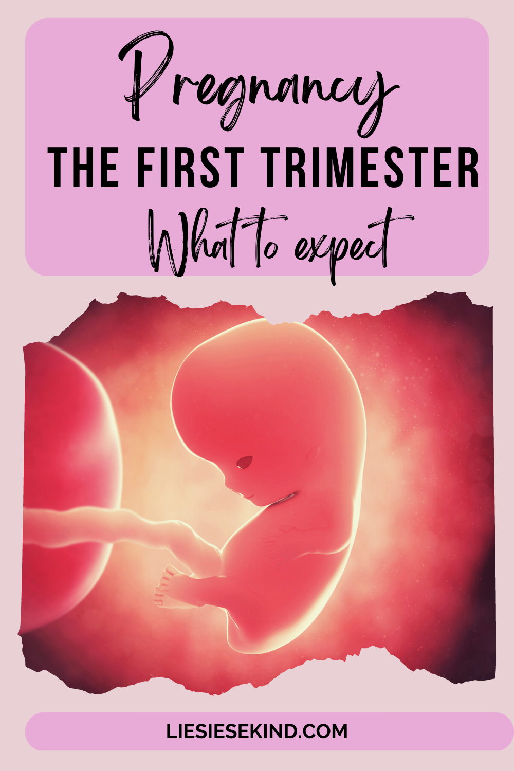 pregnancy-the-first-trimester