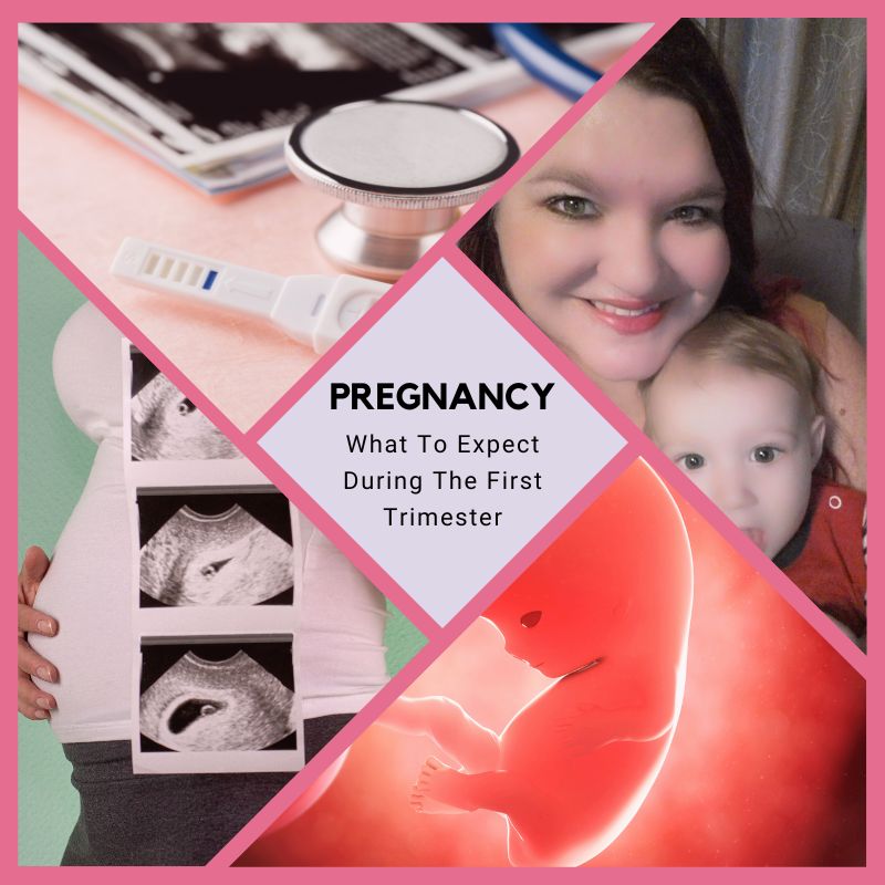 Pregnancy The First Trimester