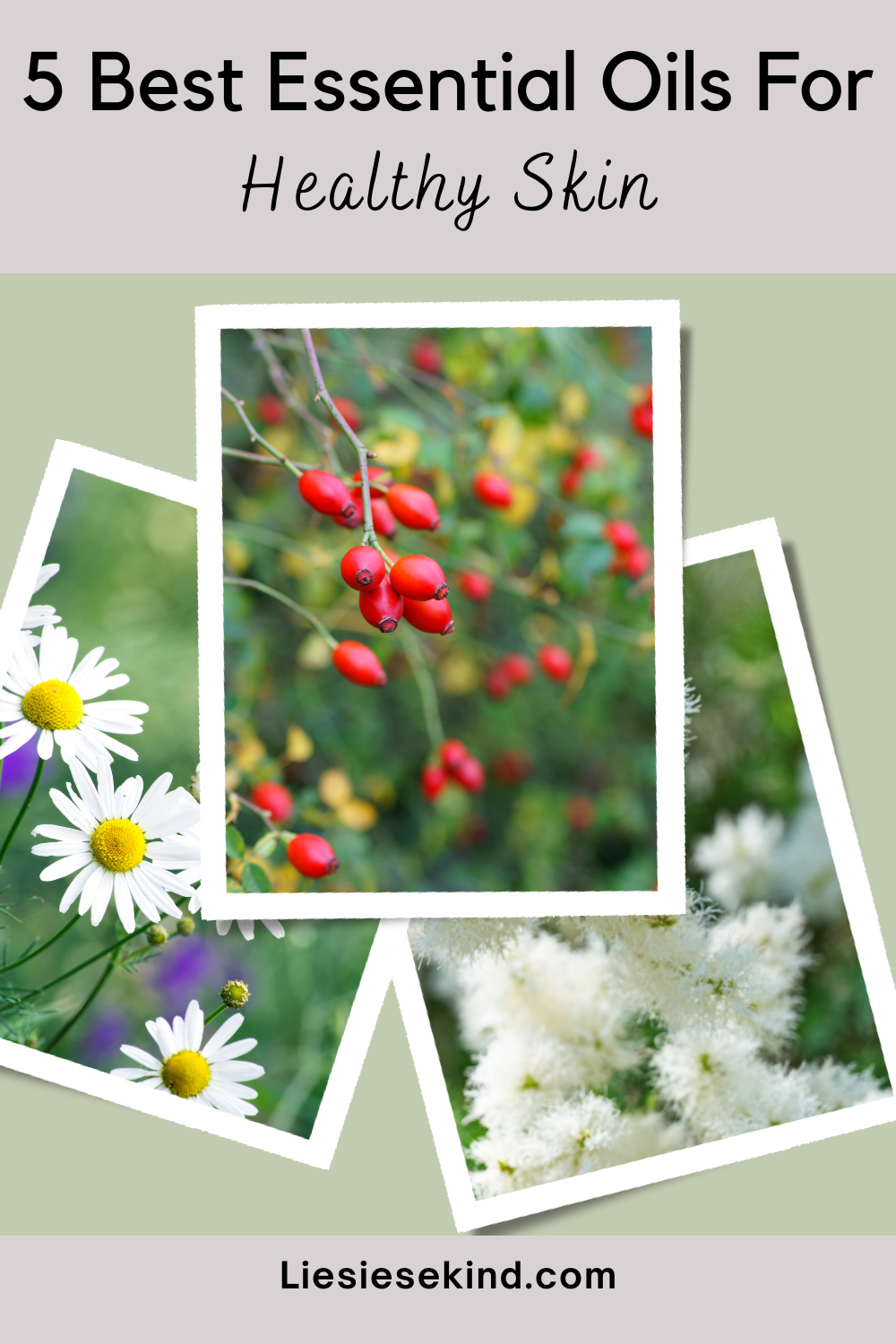 5 Best Essential Oils For Healthy Skin